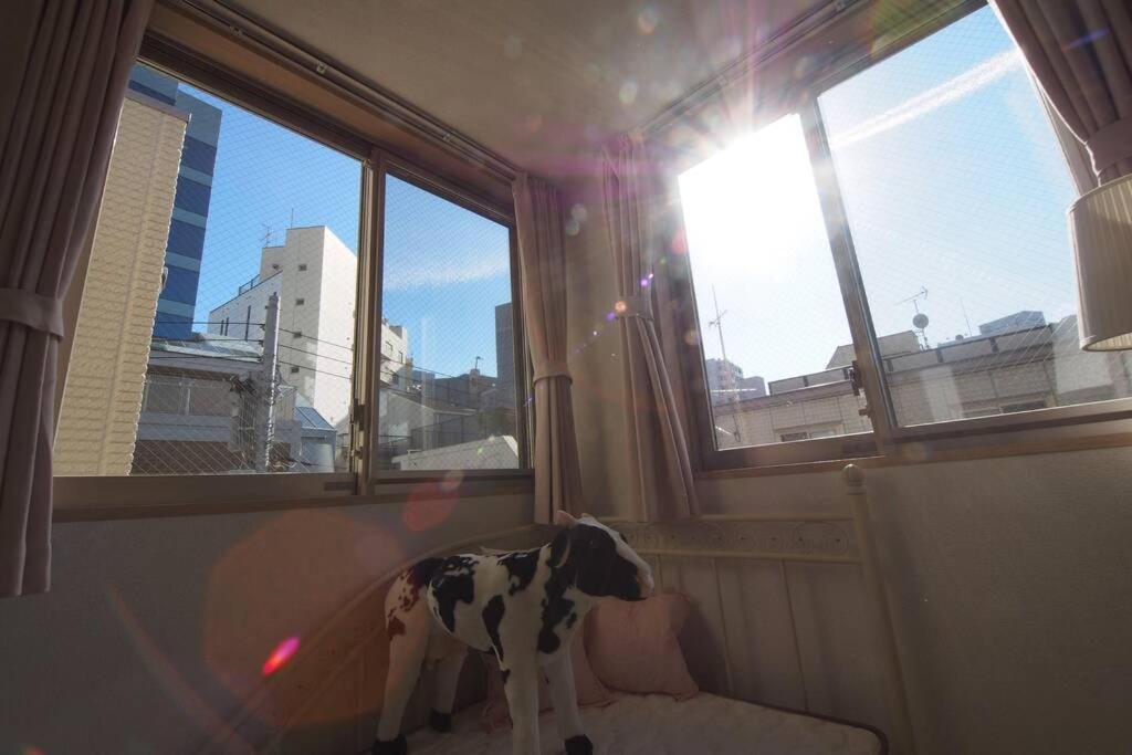 【great Location!】near Shinjuku Sta./girls #302 Tokyo